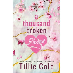 A THOUSAND BROKEN PIECES