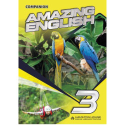 AMAZING ENGLISH 3 COMPANION