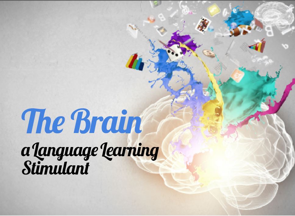 The Brain, a Language Learning Stimulant