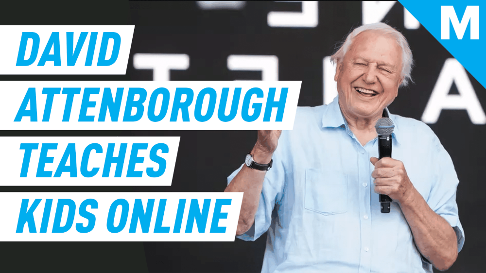 David Attenborough is teaching online geography lessons to kids at home